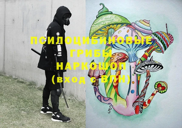 дживик Володарск