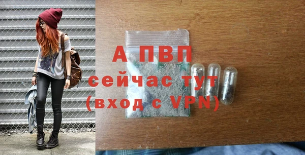 дживик Володарск