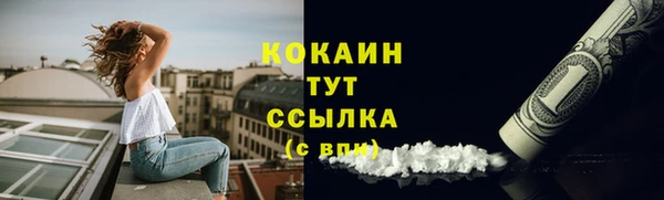 дживик Володарск